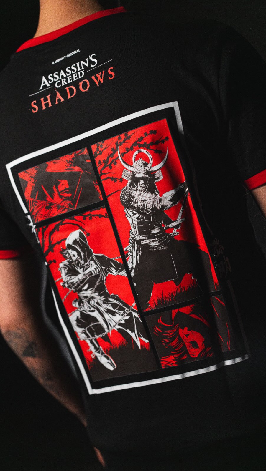 AURONPLAY & ASSASSIN´S CREED - CAMISETA SABROSA - 230g